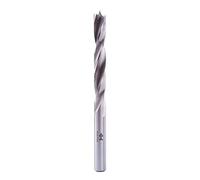Fisch 013C120110 FSF-176725 Profi Foret hélicoïdal pour bois Argenté 12 x 70/110 mm