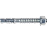 Goujons métalliques - acier zingué - 10x216 mm - 20 pièces FISCHER