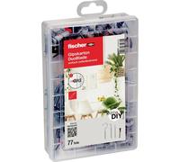 Fischer 548857 Meister-Box DUOBLADE Boîte dassortiment de chevilles 1 set