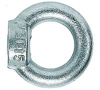 Fischer Anneau de levage RI M 10, 10 pce - 080842