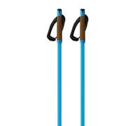 Fischer Bâtons Storm Gtx L