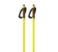 Fischer Bâtons Storm Gtx L