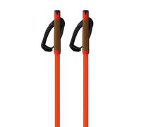 Fischer Bâtons Storm Gtx L