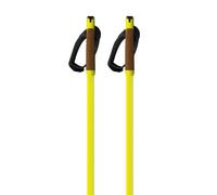 Fischer Bâtons Storm Gtx M