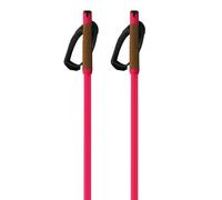 Fischer Bâtons Storm Gtx M