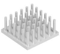 Fischer Elektronik 10127689 ICKS 22 x 22 x 10 Dissipateur à picots (L x l x H) 22 x 22 x 10 mm