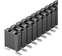 Fischer Elektronik Barrette femelle (standard) Nbr de rangées: 2 Nombre de pôles par rangée: 20 10027118 1 pc(s)