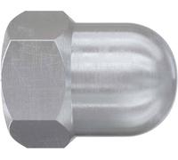 Fischer FAZ II Plus M12 R 569129 Écrou borgne M12 acier inoxydable 20 pc(s)
