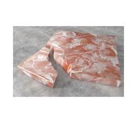 fischer fischer GOW Multipack Colle forte 29 g (2) Quantité:5