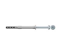 Chevilles rallongée SXR avec vis tête hexagonale 10X80 boîte de 50 - - 46330