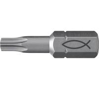 Fischer FPB T 10 PROFI Bit W 10 557845 Jeu dembouts 10 pièces