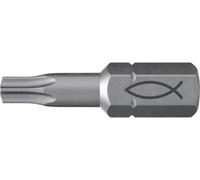 Fischer FPB T 15 PROFI Bit W 10 557846 Jeu dembouts 10 pièces