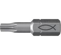 Fischer FPB T 30 PROFI Bit W 10 557849 Jeu dembouts 10 pièces