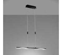 Fischer & Honsel Kop Suspension à LED avec CCT, 2 sources lumineuses, 61020,