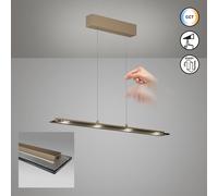 Fischer & Honsel Torvi Suspension LED à 4 sources lumineuses, 61185,
