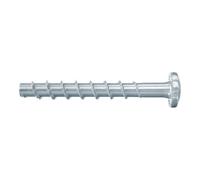 fischer Vis à béton UltraCut FBS II 6x30/5 tête cylindrique bombée acier électrozingué Boîte de 100