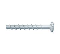 Fischer Vis à béton UltraCut FBS II 6x80/25 P tête cylindrique bombée acier électrozingué 100