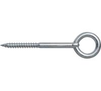 fischer vis à oeillet GS 8 x 80