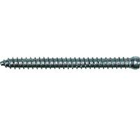 fischer - Vis de fixation pour cadres de fenêtres bois FFSZ 7,5x182 avec tête cylindrique à empreinte TX30 / Boite de 100