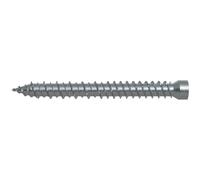 Fischer 532907 vis et boulon 100 pièce(s)