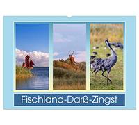 Fischland-Darß-Zingst (Wandkalender 2026 DIN A2 quer), CALVENDO Monatskalender: Impressionen einer Halbinsel
