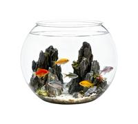 Fish Bowl - Glass, 8x8x8in Shatter-Resistant Container | Clear Aquarium Accessory Decorative Display, Fish Bowl For Table Centerpiece, Party, Home, Event, Indoor, Desk
