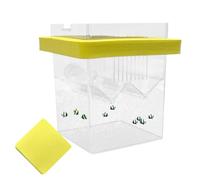 Fish Breeder Box, Aquarium Hatchery Incubator, Floating Shrimp Nursery Container, Separate Compartments, Suction Cups, (8.6x8.6x10.5cm), Ideal for Young Fish and Aquatic Life