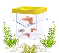 Fish Breeder Box, Floating Isolation Tank, Suction Cup Container, Aquarium Acclimation Hatchery, Nursery Incubator for Shrimp Guppy Fry Spawning Separation Net Clear Case