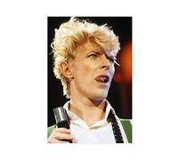 FISH DRAGATE David Bowie 5 Poster sur toile pour décoration murale sans cadre 30 x 45 cm