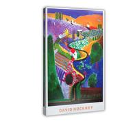 FISH DRAGATE David Hockney Lot de 4 affiches sur toile pour chambre à coucher, paysage sportif, décoration de bureau, chambre, cadeau, 30 x 45 cm