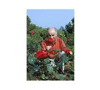 FISH DRAGATE Louis De Funes Poster sur toile 13 pour décoration de chambre à coucher, paysage sportif, décoration de bureau, chambre, cadeau sans cadre, 30 x 45 cm