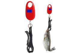 Fish Scale - ABS Precision Steel 24cm | Electronic Fishing Scale 25kg Portable Digital Weighing Tool, High Accuracy Hook Scales Controller | Fishing Gear Accessory For Outdoor Use