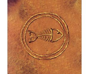 Fishbone - Fishbone 101: Nuttasaurusmeg Fossil Fuelin' the Fonkay