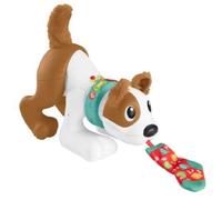 Fisher Price 123 Rampe Avec Moi Chiot