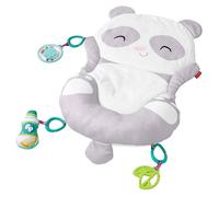 Fisher-Price - All-In-One Panda Playmat