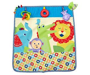 Fisher-Price couverture douillette pour occuper bébé, jouets et textures amusantes, dès la naissance, DYW52