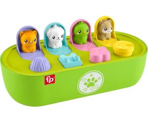 Fisher-Price FP Pets Jouet pour bébé Pop-up à motricité Fine avec activités et Sons pour Jeux de développement, Nourrissons à partir de 9 Mois