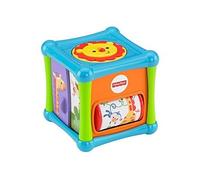 Fisher Price - Animal Activity Cube (BFH80)
