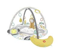 Fisher-Price - Gym du singe avec sons et lumières, jouet pour bébé 0+ mois, HBG85