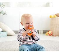 Fisher-Price Hungry Otter Rattle