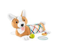 Fisher-Price Jouet D'Éveil Mon Coussin Chiot 3 En 1 En Peluche, Avec Balle-Hochet, Anneau De Dentition Biscuit Sans Bisphénol A Et Miroir De Découverte Inclus, Jouet Bébé, Nouveau-Né, HJW10