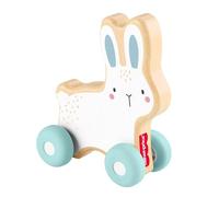 LAPIN A POUSSER EN BOIS