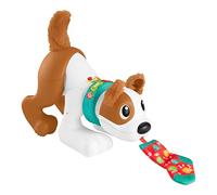 Fisher-Price Krabbel-Hund Bello | HGY00