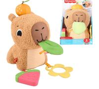 Fisher Price Marmotte Doudou et Collation Peluche Dentition Et Hochet 3+