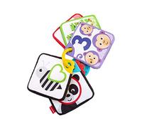 Fisher-Price Mes Premières Cartes aux textures multiples, jouet bébé avec anneau, chiffres et dessins d'animaux, dès la naissance, FXB92