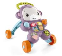 Fisher-Price - Mon Trotteur Singe Violet - Musique, lumières et activités - Fisher-Price - JGW90