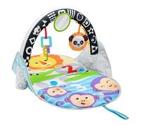 Fisher-Price Tapis Des Animaux 2-En-1 Multicolore