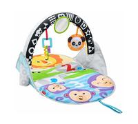 Fisher Price Tapis D'eveil Activity 2 En 1 Mattel Fxc14