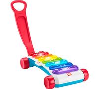 Fisher-Price Xylophone Géant, Instrument de Musique électronique factice avec chansons éducatives pour Les Tout-Petits, Jouet Enfant, Dès 9 Mois, Version: UK-Anglais, HGM29