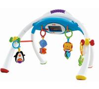 Fisher-Price - Y4476 - Jouet Premier Age - Arche Apptivity